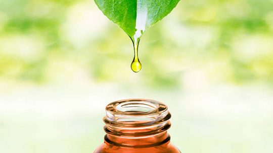 Aromaterapia vs Homeopatia